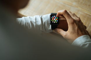 乐鱼体育下载app官网-智能穿戴设备在运动健康监测中的应用研究，智能穿戴的测试要点