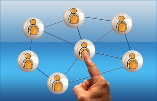 乐鱼体育网页登录-新加坡队赛制评析:通过赛制创新提升整体比赛表现,新加坡联赛什么水平