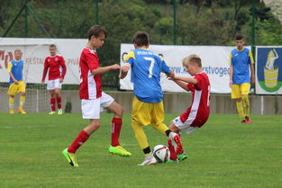 乐鱼体育下载app官网-自由搏击教练参与校园自卫课程开发,学校自由搏击