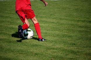 乐鱼app下载-篮球俱乐部青训体系标准化建设推进中,青少年篮球俱乐部训练计划