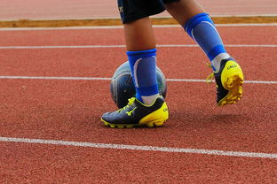 乐鱼体育在线网站-蛙泳对决奥地利游出新速度，奥运会蛙游泳决赛视频