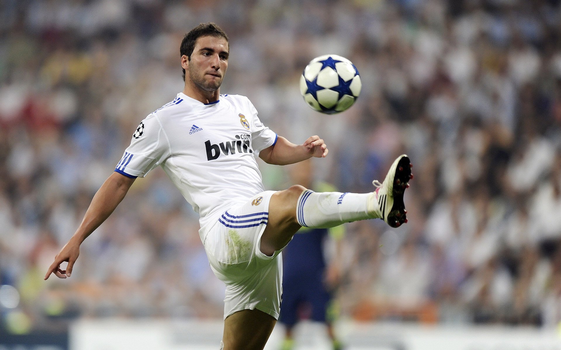 乐鱼体育app官网入口-媒体关注帕切科建议努涅斯加盟穆帅阵营，努涅斯的比赛